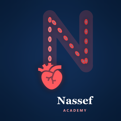 Nassef Academy logo